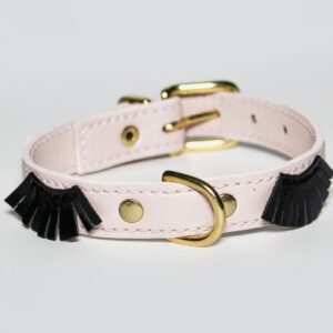 Collar LASHES