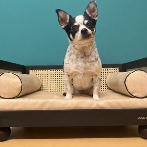 Cama para perros Ratán